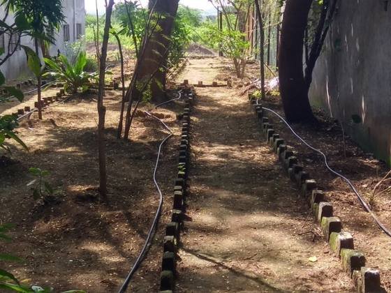 Green Initiatives