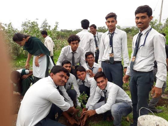 Tree Plantation