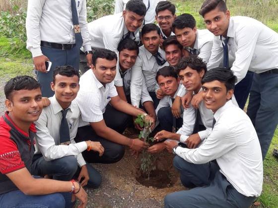 Tree Plantation