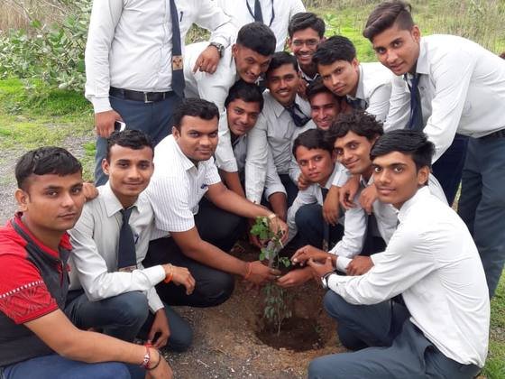 Tree Plantation