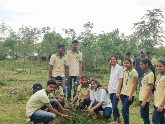 Tree Plantation