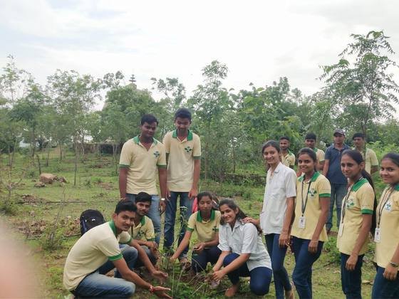 Tree Plantation